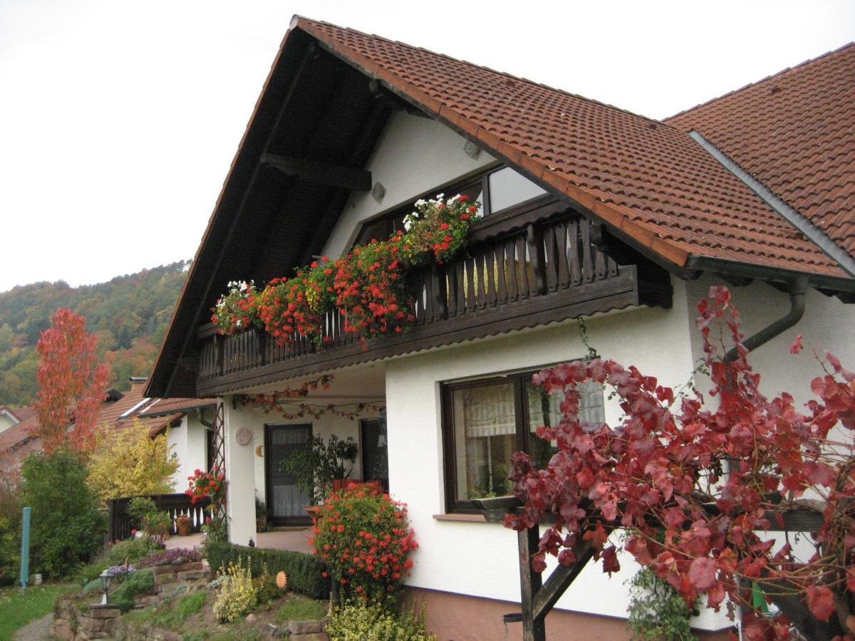 Ferienwohnungen Haus Albert Großheubach Exterior foto