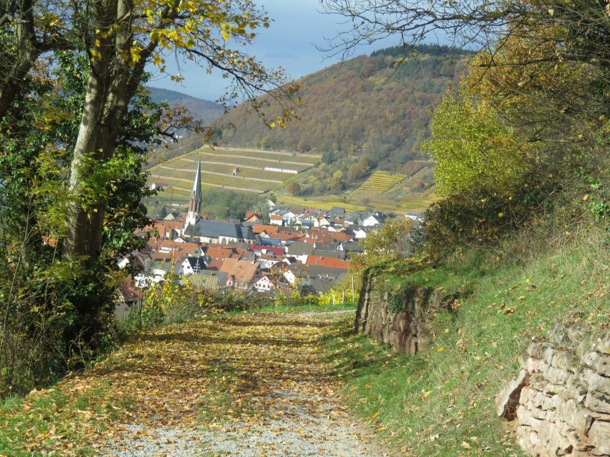 Ferienwohnungen Haus Albert Großheubach Exterior foto
