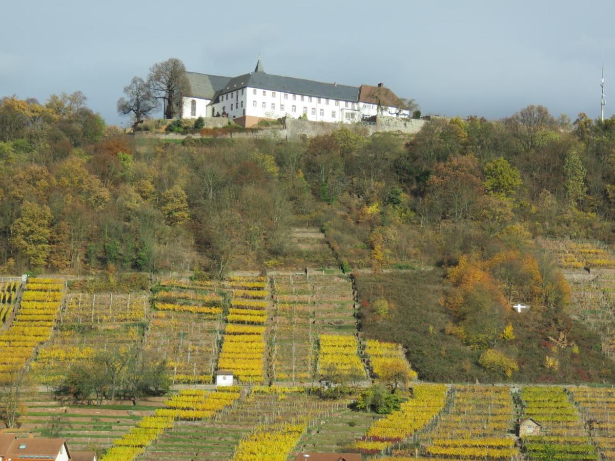 Ferienwohnungen Haus Albert Großheubach Exterior foto