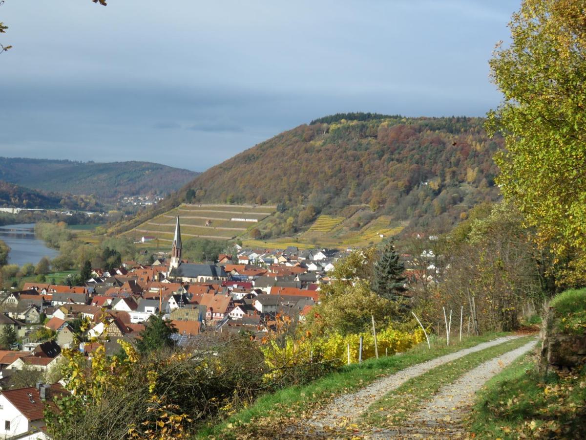 Ferienwohnungen Haus Albert Großheubach Exterior foto